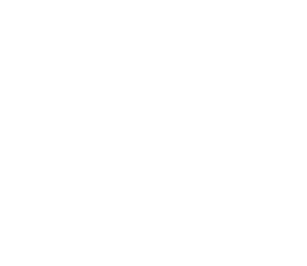 Christo Consulting Logo